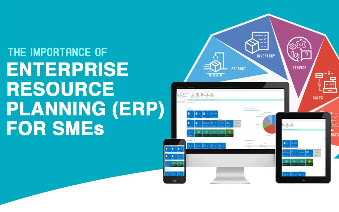 The Importance of Enterprise Resource Planning (ERP) for SMEs
