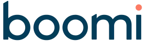 Dell Boomi Logo